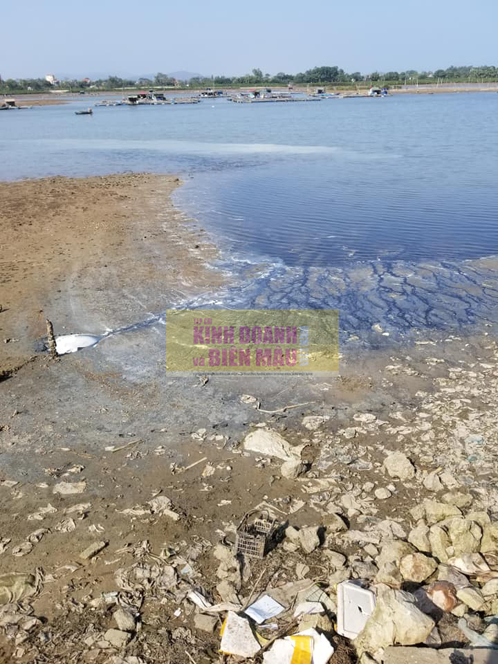 Tiếp bài “Ô nhiễm tại Cụm công nghiệp và cảng cá Hải Bình (Thị xã Nghi Sơn, tỉnh Thanh Hóa)”: Cận cảnh “vòi bạch tuộc” dẫn chất thải xả thẳng ra cửa sông